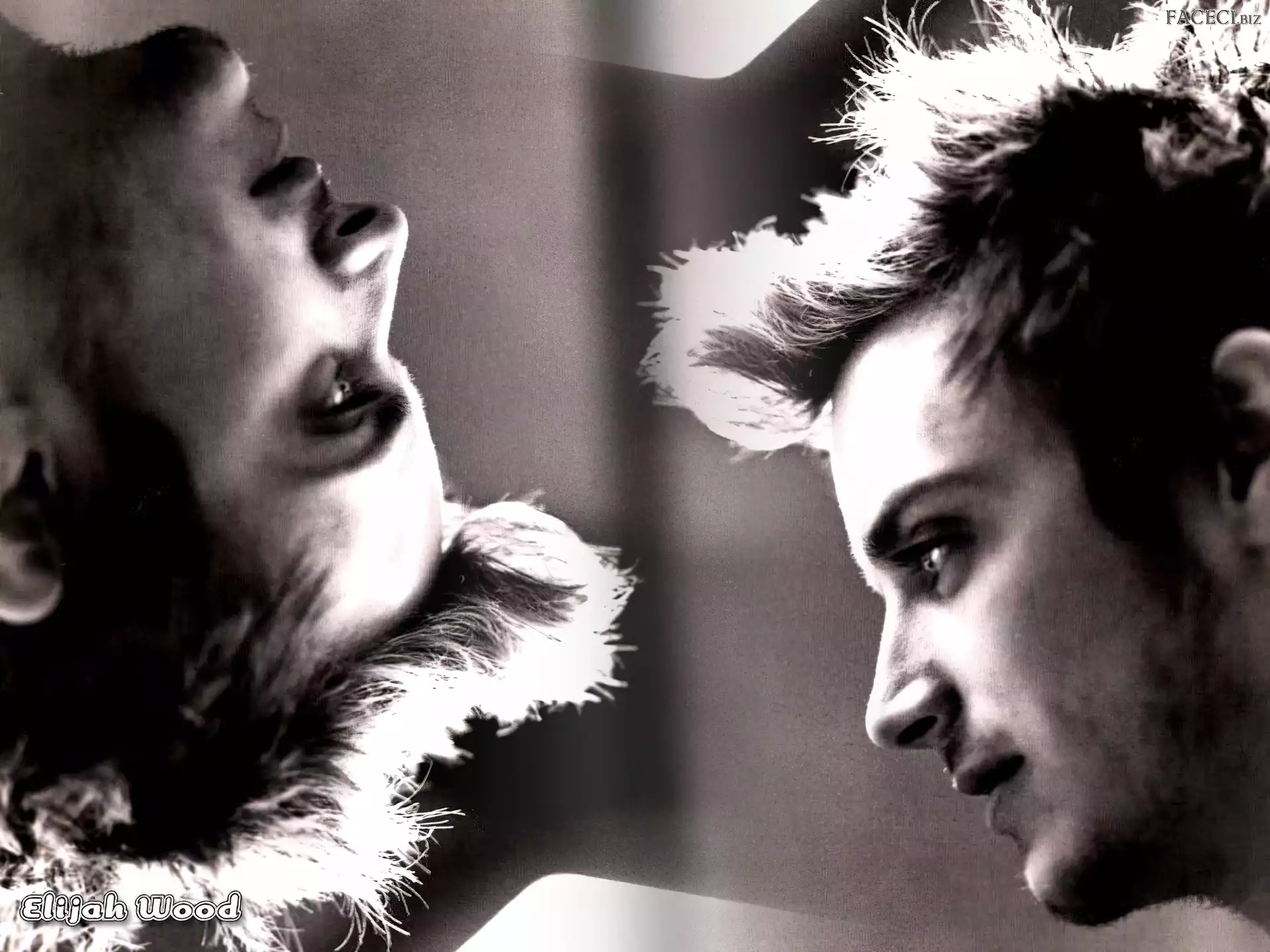 profil twarzy, Elijah Wood